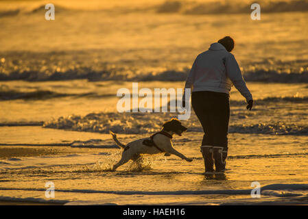 Una donna che gioca con il suo cane durante la serata sul dog friendly Fistral Beach in Newquay, Cornwall. Foto Stock