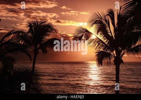 Palm tree silhouette contro il cielo al tramonto e oceano di Maui, Hawaii - che si affaccia su isola di lanai Foto Stock