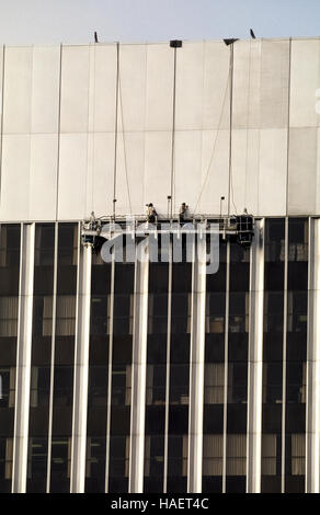 Edificio di intrepidi e detergenti per finestre alte di lavoro sopra il suolo da una impalcatura sospesa che è una piattaforma mobile nota come una fase di oscillazione che scende su cavi dal tetto di un edificio alto in Los Angeles, California, USA. Gli uomini indossano anche cavi di sicurezza attaccata alle corde dal tetto in caso l'impalcatura cade. Il lavaggio di windows sui grattacieli è stata a lungo considerata una pericolosa professione anche se il numero di alta luogo window cleaner morti o feriti è statisticamente molto bassa secondo la vetrina internazionale Associazione di pulizia. Foto Stock