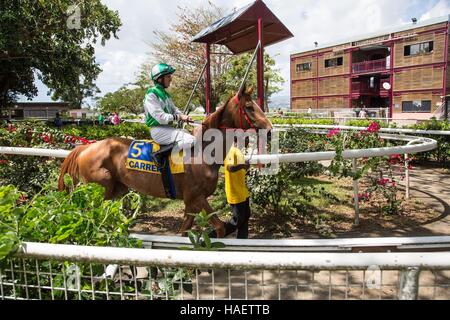 HIPPODROME DE CARRERE Race Track, LE LAMENTIN, Martinica, ANTILLE FRANCESI, Francia Foto Stock