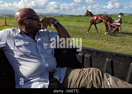 HIPPODROME DE CARRERE Race Track, LE LAMENTIN, Martinica, ANTILLE FRANCESI, Francia Foto Stock