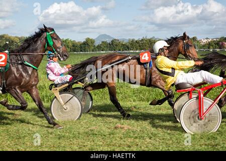 HIPPODROME DE CARRERE Race Track, LE LAMENTIN, Martinica, ANTILLE FRANCESI, Francia Foto Stock