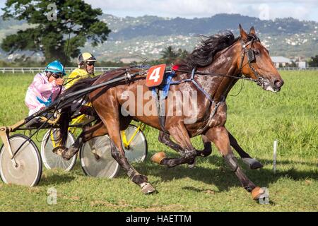 HIPPODROME DE CARRERE Race Track, LE LAMENTIN, Martinica, ANTILLE FRANCESI, Francia Foto Stock