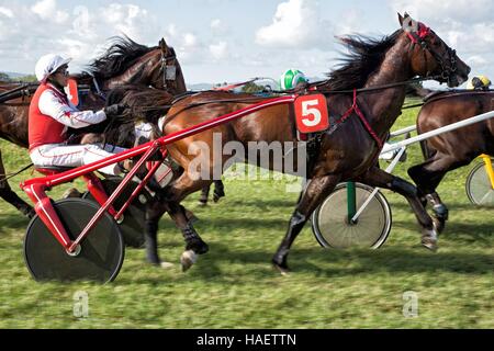 HIPPODROME DE CARRERE Race Track, LE LAMENTIN, Martinica, ANTILLE FRANCESI, Francia Foto Stock