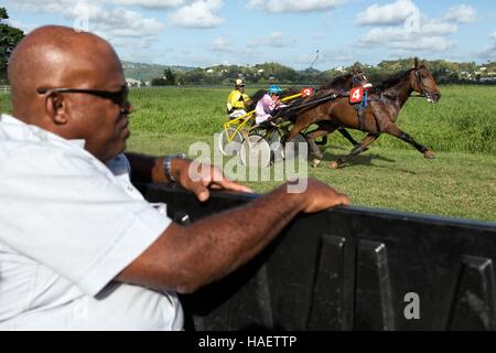 HIPPODROME DE CARRERE Race Track, LE LAMENTIN, Martinica, ANTILLE FRANCESI, Francia Foto Stock