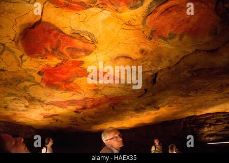 Bison pittura in grotte di Altamira, Superiore Museo Paleolitico, Santander, Cantabria, Spagna. Una delle fermate del Transcantabrico Gran Lujo trai di lusso Foto Stock