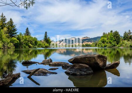 Spring Lake, Sonoma County, California Foto Stock