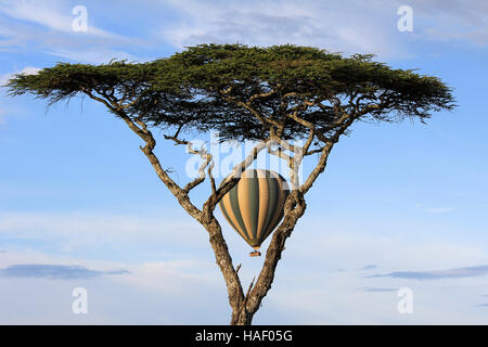 In mongolfiera ad aria calda nel Serengeti, Tanzania Foto Stock