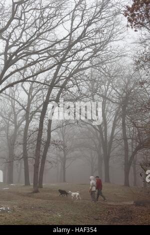 Un uomo e una donna a piedi due cani in un parco di nebbia. Foto Stock