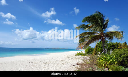 Spiaggia di sabbia bianca nel paradiso tropicale presso il St John's Antigua e Barbuda. La principessa Diana Beach. Caraibi Foto Stock
