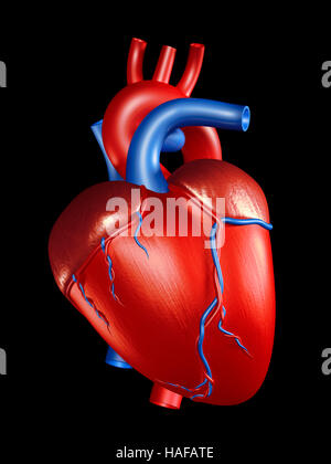 Cuore umano 3D illustrazione isolati su sfondo nero Foto Stock