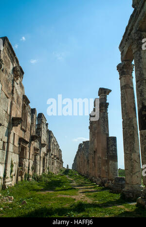 Il grande colonnato, costruita dai Romani nel II secolo D.C., presso l'antica città di Apamea nei pressi di Hama in Siria. Foto Stock