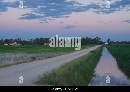 Paesaggi del Delta del Ebro, Spagna al tramonto Foto Stock