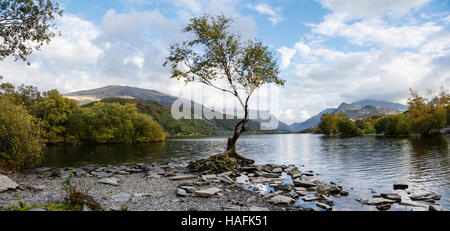 Llyn Padarn e vista verso Snowdon (Yr Wyddfa), Llanberis, Snowdonia National Park (Eryri), Gwynedd, Galles Foto Stock