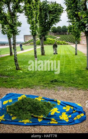 CHATEAU D'Amboise Foto Stock