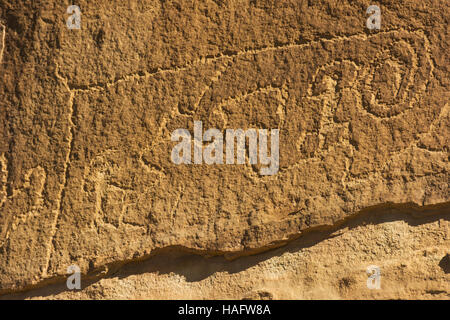 Colorado, Mesa Verde National Park, punto Petroglyph Trail, incisioni rupestri Foto Stock