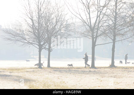 Wandsworth Common, Londra, Regno Unito. 30 Novembre, 2016. Luminose frosty mattina come Londra temperature scenda al di sotto di zero durante la notte. Credito: JOHNNY ARMSTEAD/Alamy Live News Foto Stock
