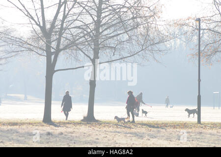 Wandsworth Common, Londra, Regno Unito. 30 Novembre, 2016. Luminose frosty mattina come Londra temperature scenda al di sotto di zero durante la notte. Credito: JOHNNY ARMSTEAD/Alamy Live News Foto Stock