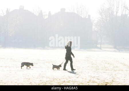 Wandsworth Common, Londra, Regno Unito. 30 Novembre, 2016. Luminose frosty mattina come Londra temperature scenda al di sotto di zero durante la notte. Credito: JOHNNY ARMSTEAD/Alamy Live News Foto Stock