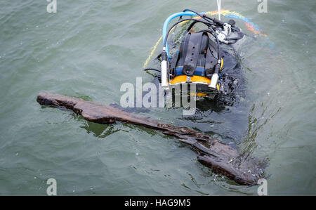 Wismar in Germania. 30 Novembre, 2016. Il Research Diver Dirk Hering detiene un pezzo di legno da un incastro a dente medievale che era stato recuperato dal porto di Wismar, Germania, 30 novembre 2016. Gli archeologi hanno iniziato la scopertura medievale due relitti del Mar Baltico, accompagnato dal maltempo. Le navi erano risalenti al XIII e XIV secolo mediante analisi della recuperati frammenti di legno. Foto: Jens Büttner/dpa-Zentralbild/dpa/Alamy Live News Foto Stock