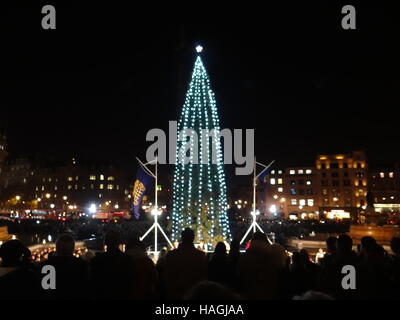 Londra, Regno Unito. 01 Dic, 2016. Albero di Natale illuminato su Trafalgar Square, Londra, UK Credit: Nastia M/Alamy Live News Foto Stock