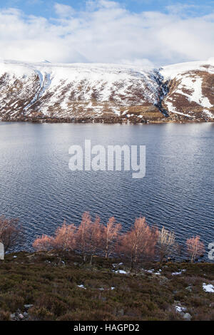 Inverno a Loch Muick in Aberdeenshire, Scozia. Foto Stock