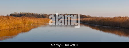 Newport Zone Umide RSPB Riserva, Gwent. Cucito immagine panoramica. Foto Stock