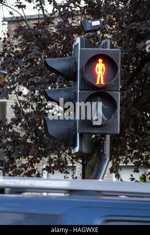 Uomo rosso che mostra su un attraversamento pedonale NEL REGNO UNITO Foto Stock