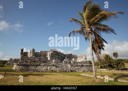 Le rovine di Tulum, la pre-Colombiano Mayan città murata che serve come un importante porto per Coba. Playa del Carmen, Yucatán Penisola, Messico. Foto Stock