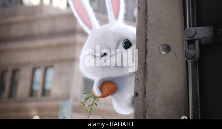 La vita segreta di animali domestici Anno : 2016 STATI UNITI / Giappone Direttore : Yarrow Cheney, Chris Renaud animazione Foto Stock