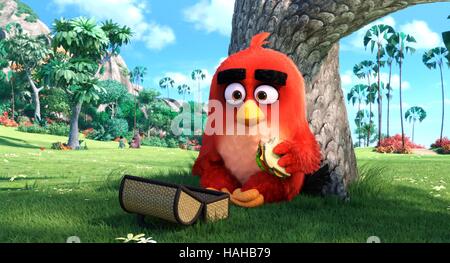 Angry Birds Movie Anno : 2016 USA Direttore : Clay Kaytis, Fergal Reilly animazione Foto Stock