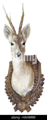 Il Roe Deer buck trofeo di caccia isolato con tracciato di ritaglio Foto Stock