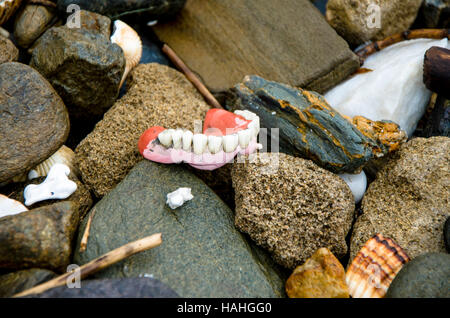 Protesi rimovibile denti falsi lavato sulla spiaggia. Foto Stock