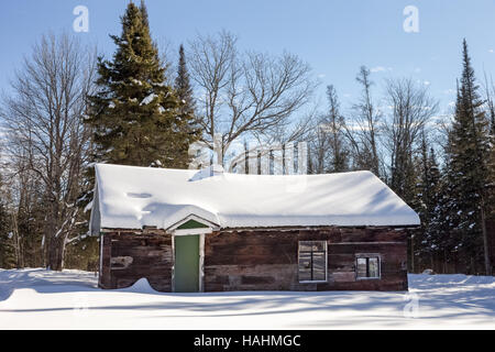 Coperta di neve log cabin, abbandonati per il bosco d'inverno. Circondato dalla neve, alberi e cielo blu. Foto Stock