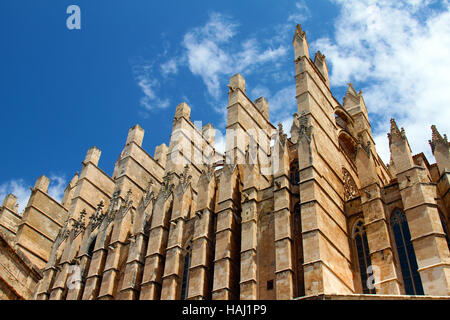 Dettaglio della Cattedrale di Mallorca a Palma, Spagna Foto Stock