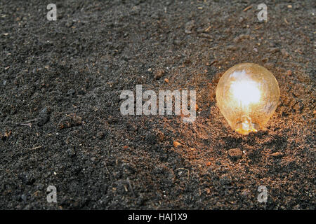 Energia rinnovabile - lampadina piantati nel suolo Foto Stock