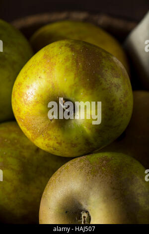 Raw cimelio di organico Golden Russet mele pronto a mangiare Foto Stock