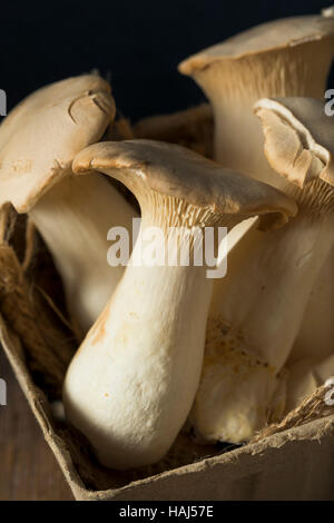 Raw re organico funghi Oyster in un cestello Foto Stock