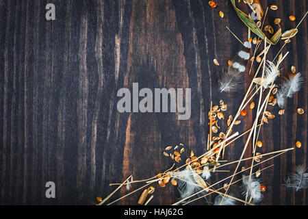 Legno scuro dello sfondo con il fieno, le piume e i grani di miglio. Foto Stock