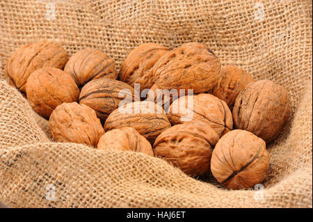 noce su juta Foto Stock