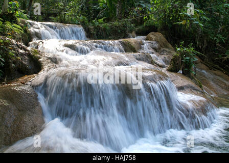 Aqua Azul cascata in Chiapas, Messico Foto Stock