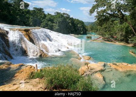 Aqua Azul cascata in Chiapas, Messico Foto Stock