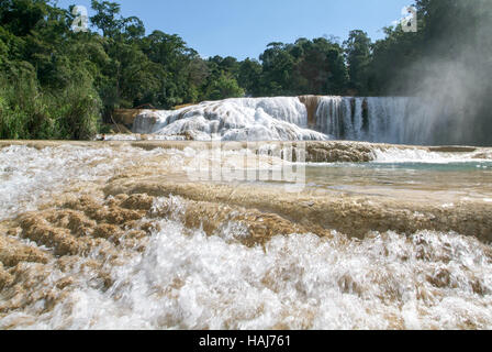 Aqua Azul cascata in Chiapas, Messico Foto Stock