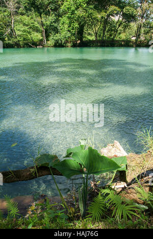 Aqua Azul cascata in Chiapas, Messico Foto Stock