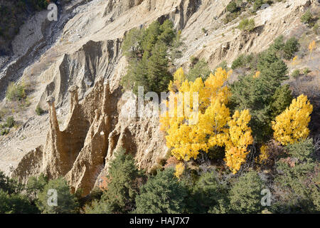 VISTA AEREA. Hoodoos con rocce di cappello e alcuni alberi con colori autunnali. Péone, Alpi Marittime, Francia. Foto Stock