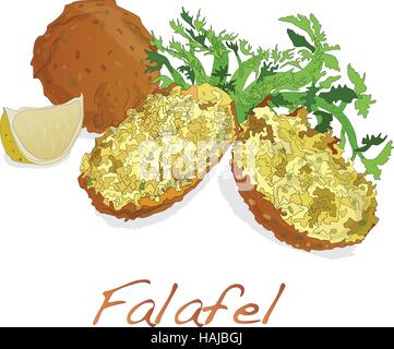 Falafel sfere vettore isolato su uno sfondo bianco Illustrazione Vettoriale