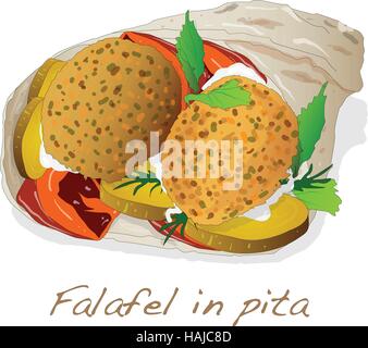 Falafel in pita vettore isolato Illustrazione Vettoriale