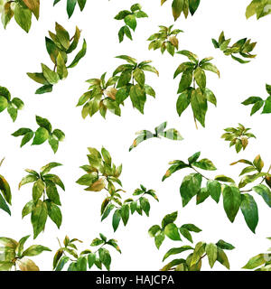 Acquerello illustrazione della foglia, seamless pattern su sfondo bianco Foto Stock
