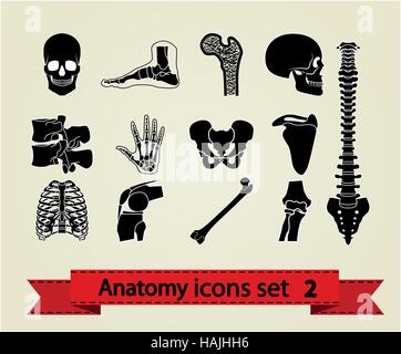 Anatomia umana icone parti. Illustrazione Vettoriale eps 8. Illustrazione Vettoriale