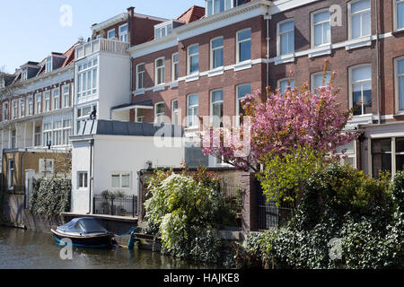 Casa di Rotterdam sul canale con un albero di fioritura. Foto Stock